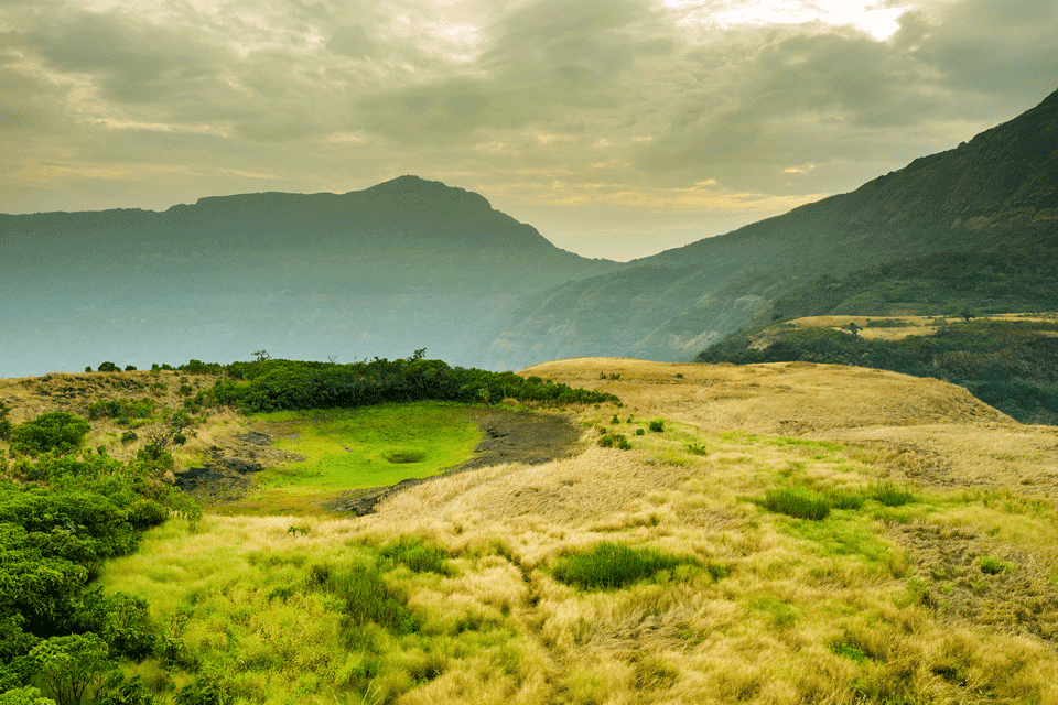 Dharana at Shillim 5*